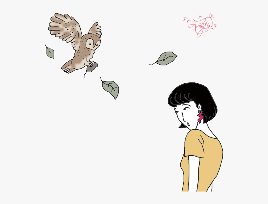 Transparent Owl Flying Png - Cartoon, Png Download