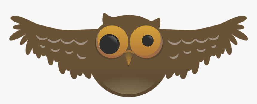 Owl, Weird, Bird, Nocturnal, Pupil, Wide, Flying, Wings - Flying Owl Pics Cartoon, HD Png Download