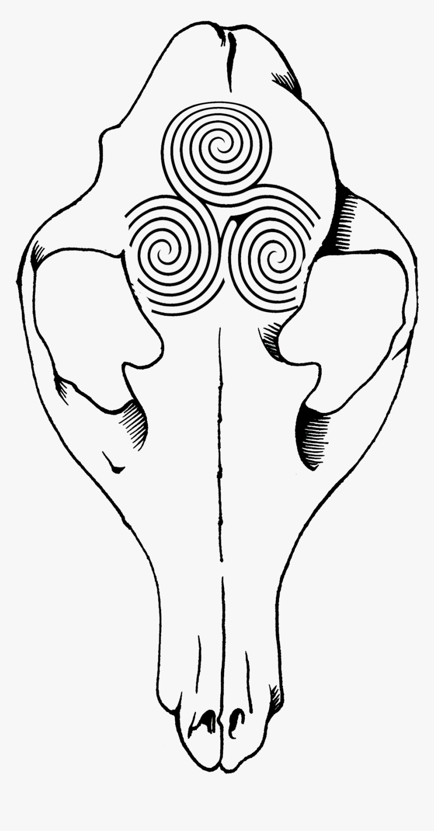 Fox Labyrinth Line Art, HD Png Download , Transparent Png Image PNGitem