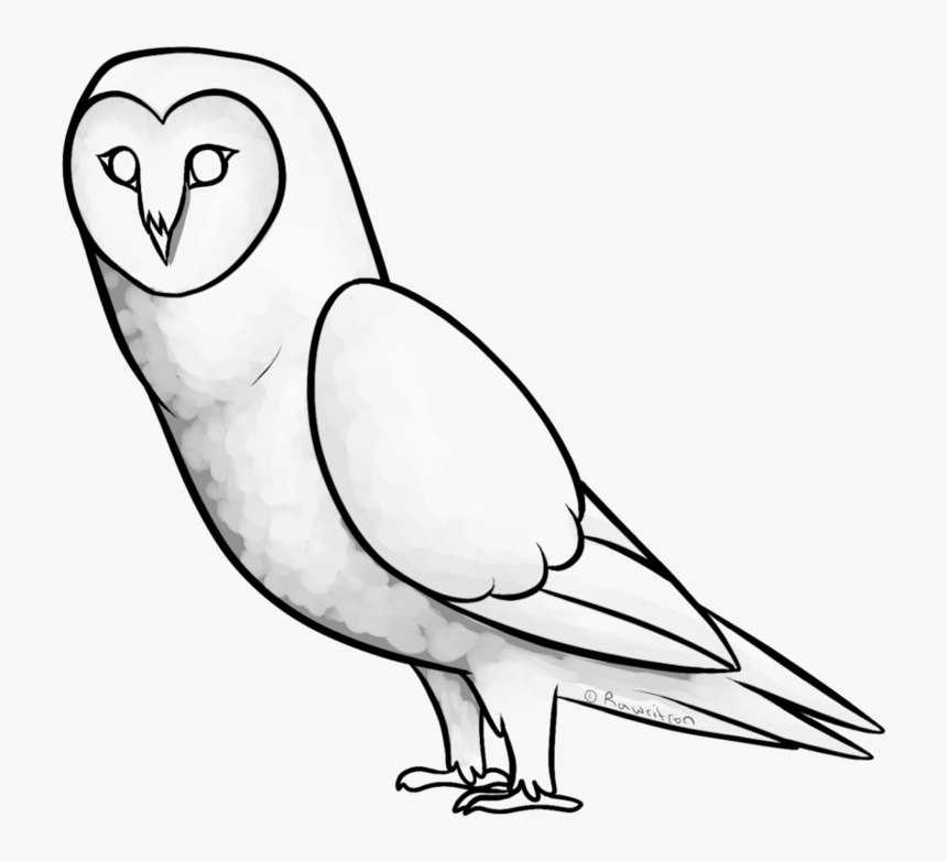 Collection Of Free Tea Drawing Owl Download - Sketch, HD Png Download