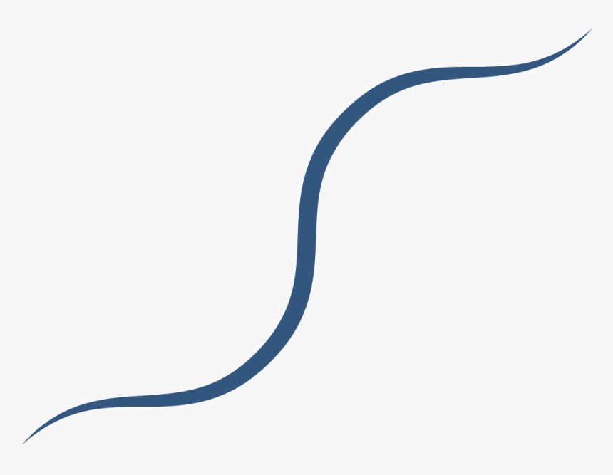 Transparent Banner Png Black And White, Png Download