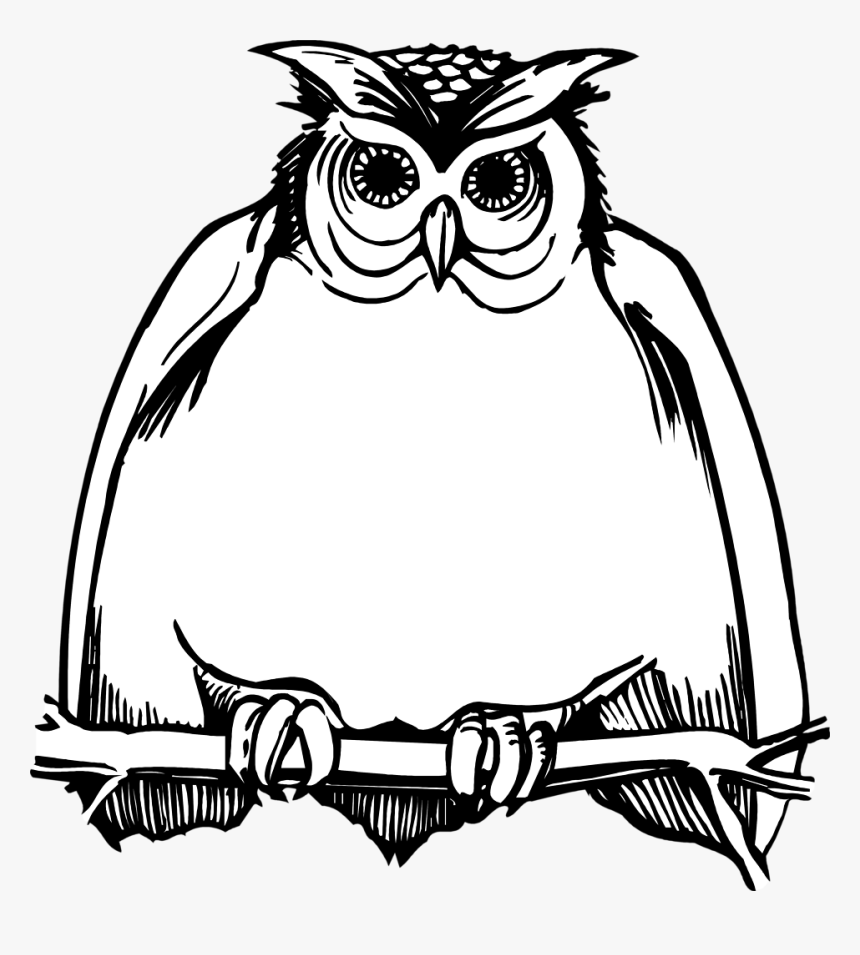 Owl Clipart Black And White, HD Png Download