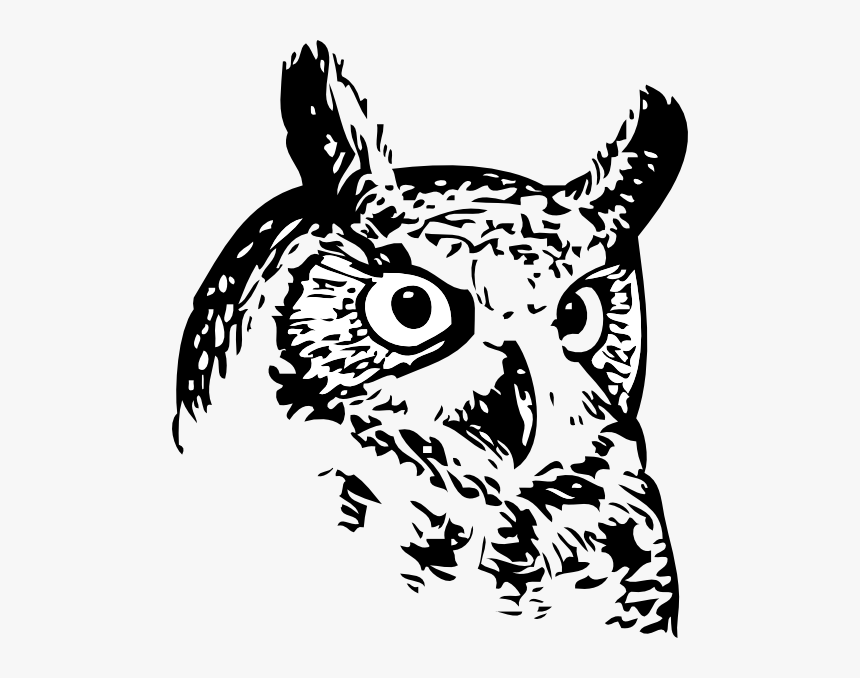 Colorado River Collegiate Academy Owl, HD Png Download