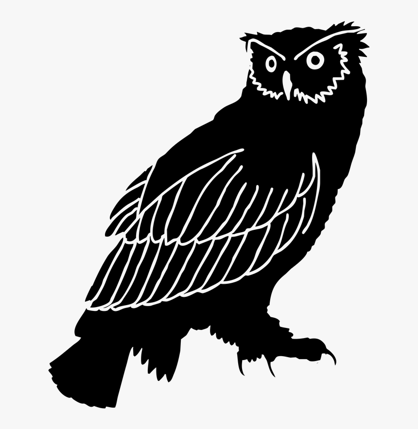Owl Silhouette Png, Transparent Png