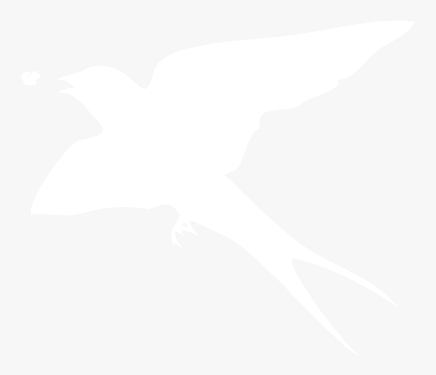 Swallow Png White, Transparent Png