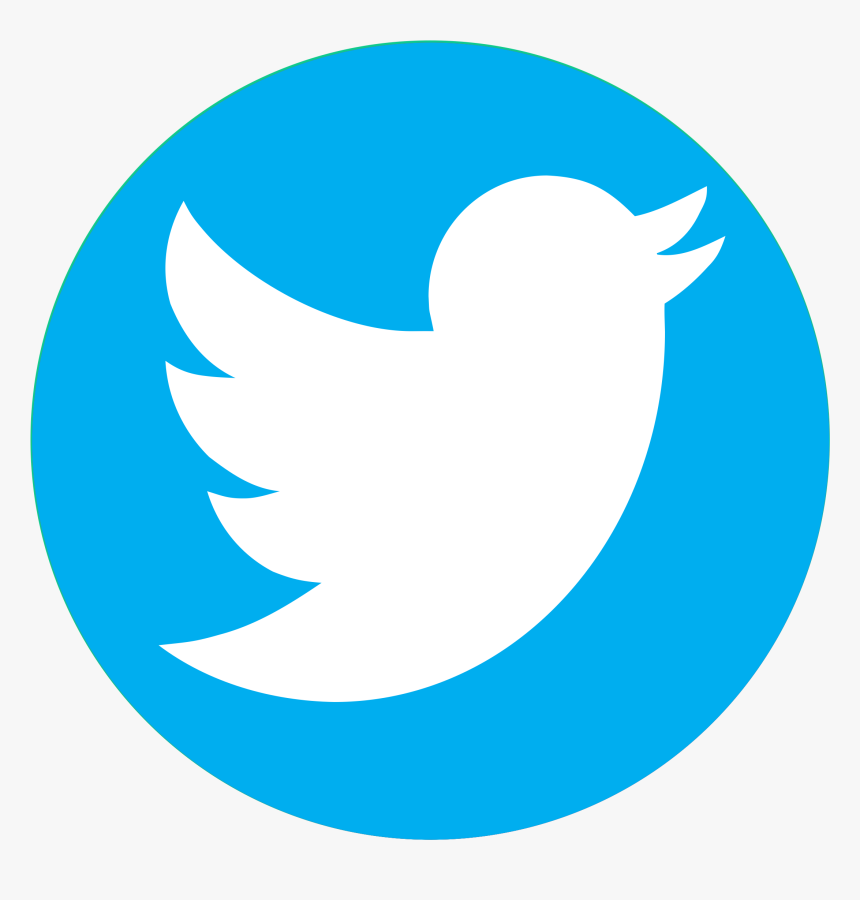 Logo Twitter Circle Png Transparent Image - Transparent Twitter Logo Png, Png Download