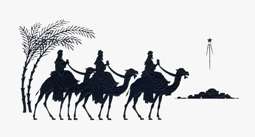 Three Wise Men Silhouette - Arabian Camel, HD Png Download