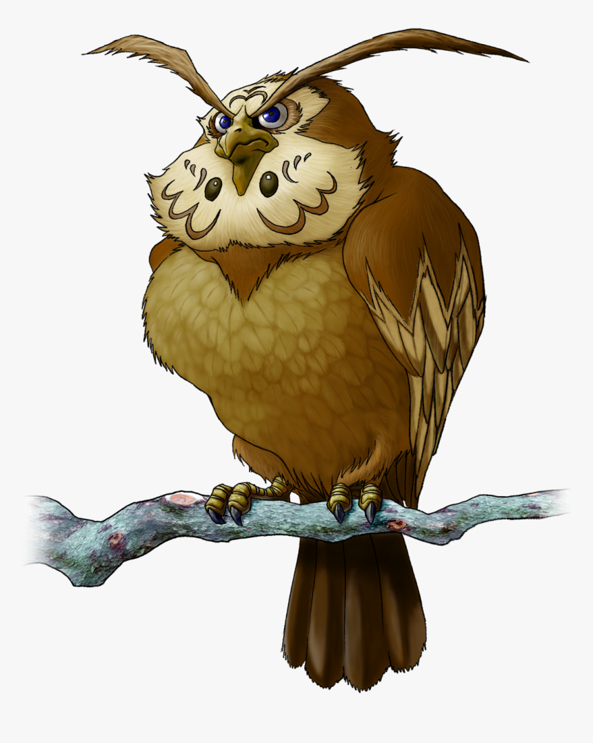 Zelda Kaepora Gaebora, HD Png Download