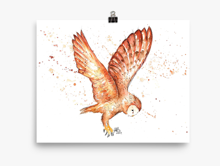 Red-tailed Hawk, HD Png Download