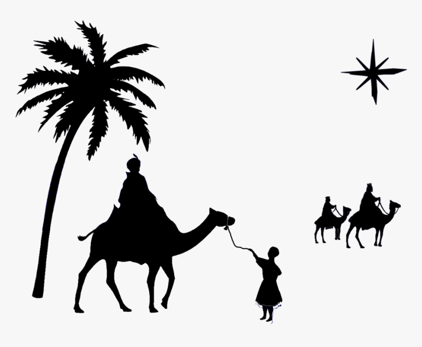 Plant,silhouette,camel - Arabian Camel, HD Png Download