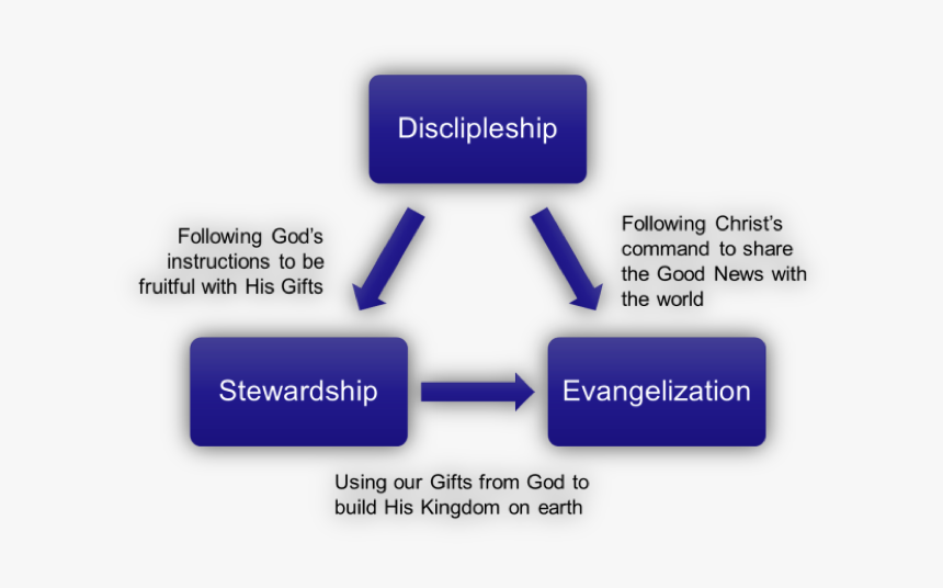 Stewardship Discipleship, HD Png Download