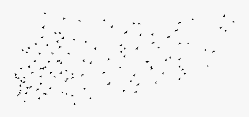 Bird Background Birds Transparent - Wattpad Png Cover Template, Png Download