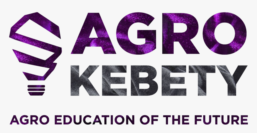 Graphic Design, HD Png Download