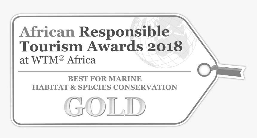 Scottish Care, HD Png Download