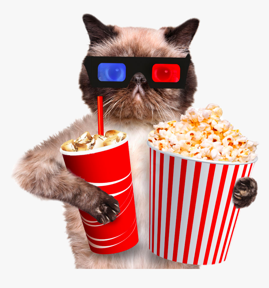 Popcorn Transparent Image - Cat And Popcorn, HD Png Download