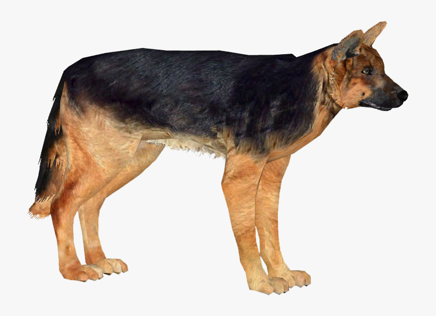 German Shepherd Dog - Png Images German Shepherd, Transparent Png
