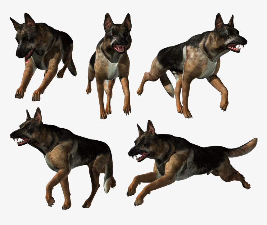 German Shepherd Png - Old German Shepherd Dog, Transparent Png