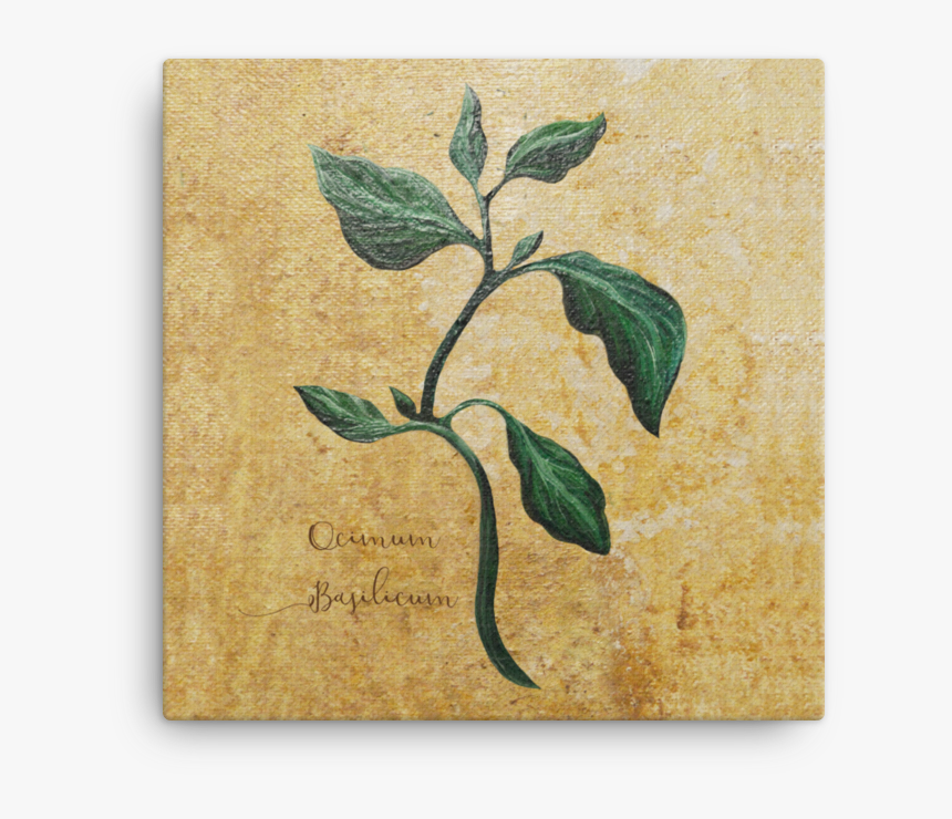 Paper, HD Png Download