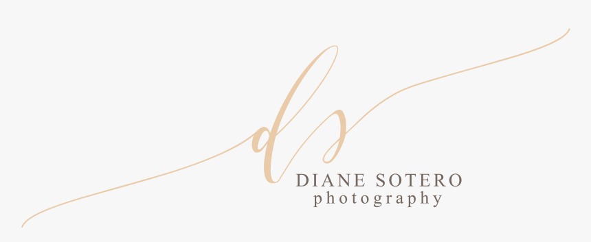 Diane Sotero - Calligraphy, HD Png Download