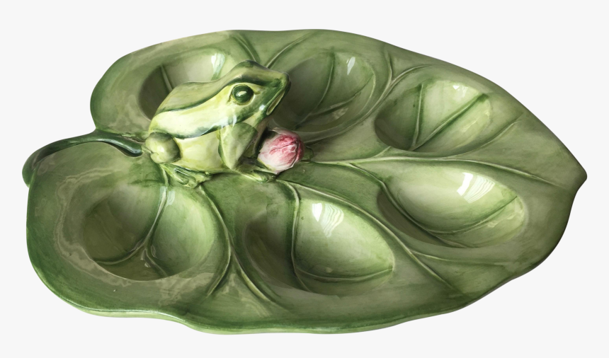 Lilypad Drawing Frog - Toad, HD Png Download