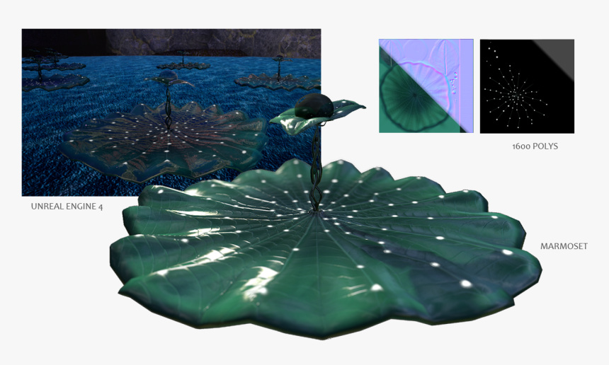 Lilypad , Png Download - Wood Duck, Transparent Png