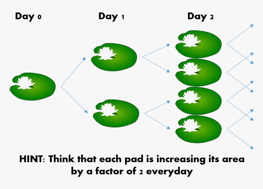 Transparent Lilypad Png - Circle, Png Download