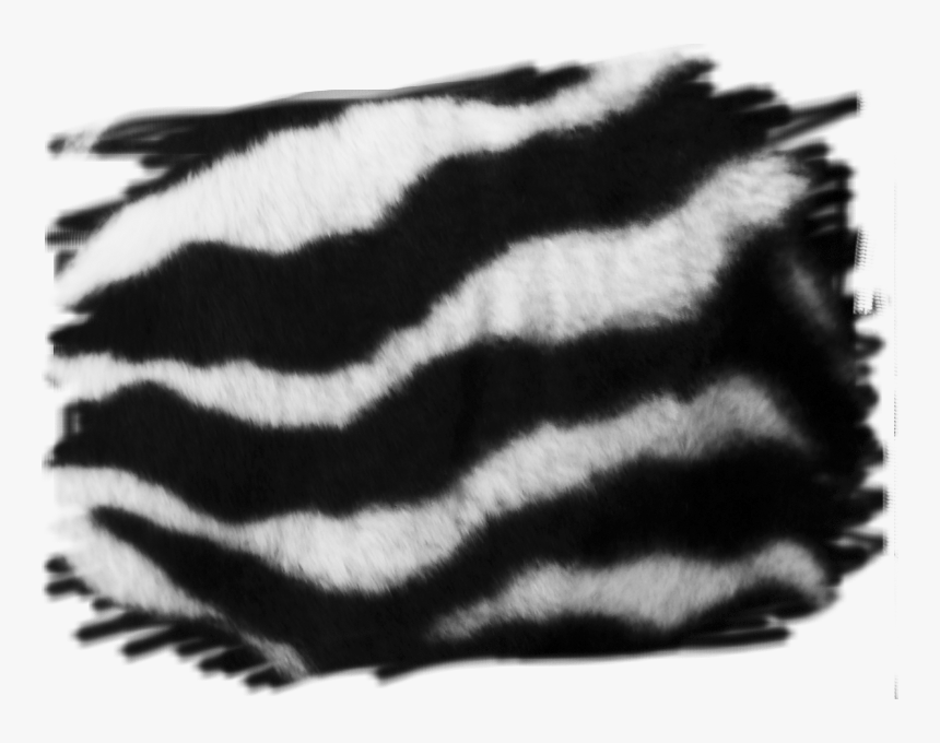 Monochrome, HD Png Download