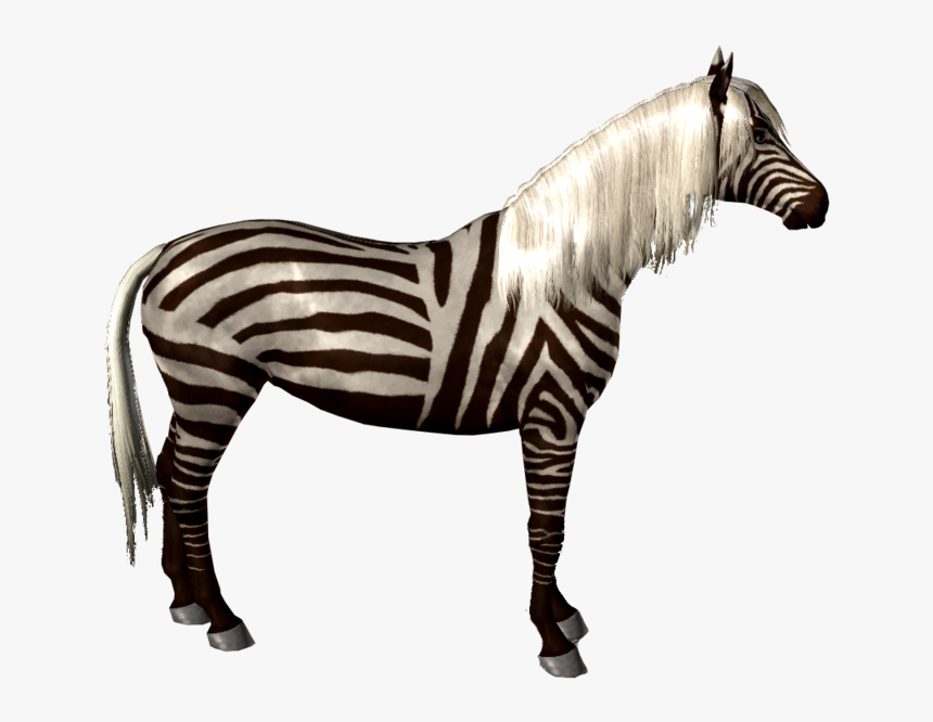 Quagga, HD Png Download