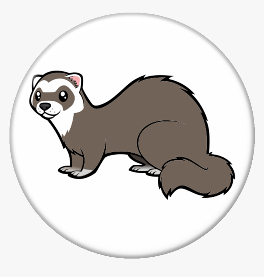 Transparent Weasel Png - Cartoonize My Pet Ferret, Png Download