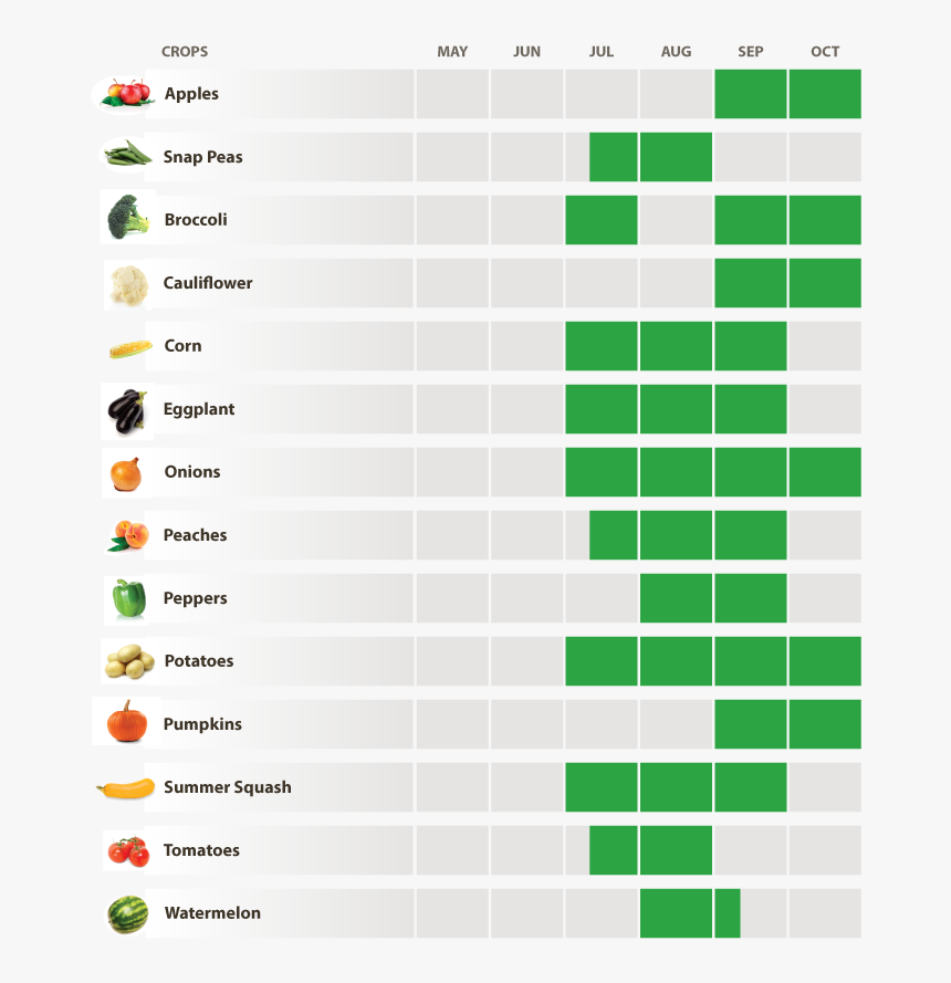 Covered Wagon Produce Harvest Schedule - Parallel, HD Png Download