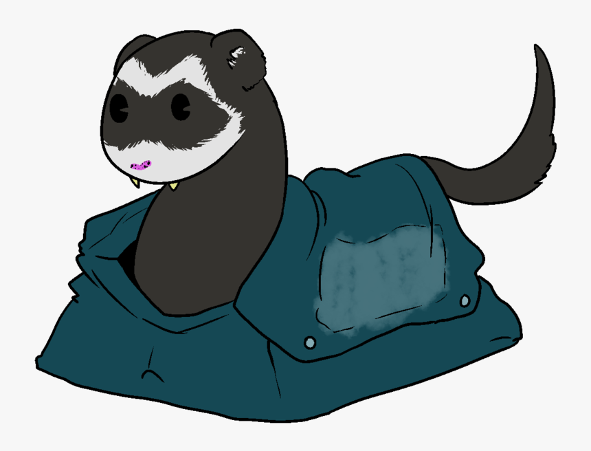 Weasel, HD Png Download