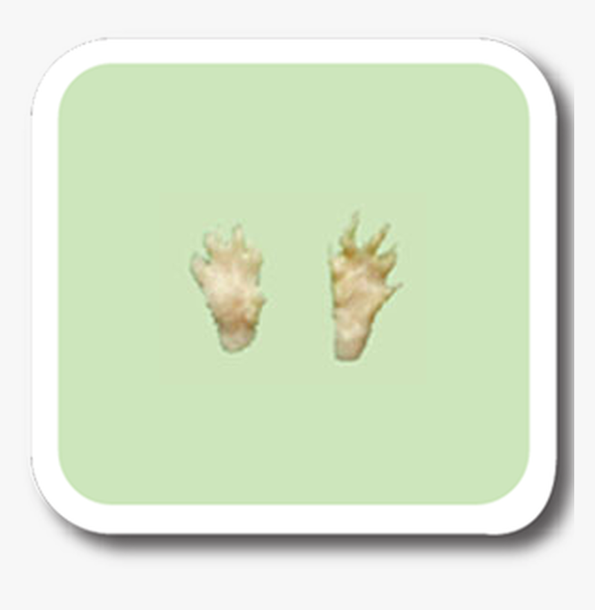 Weasel Replitrack - Sign Language, HD Png Download