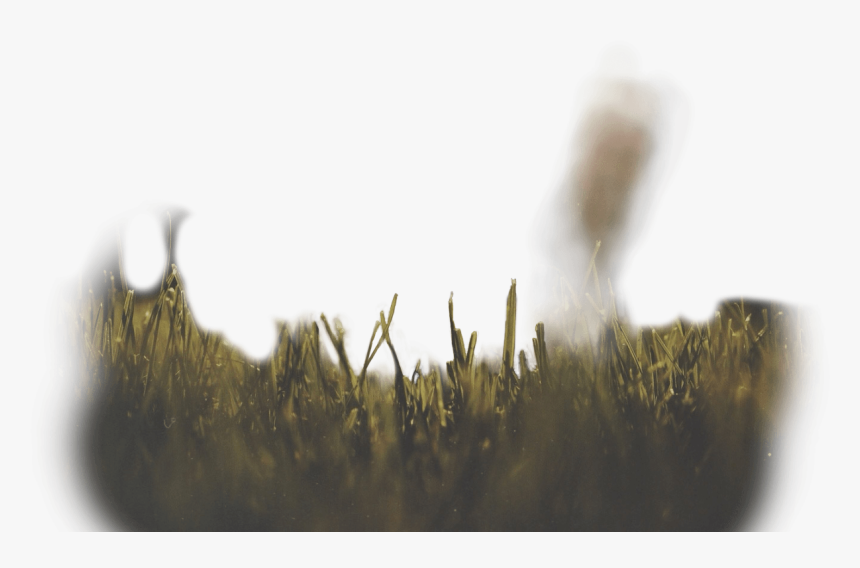 Software • Safe • Reliable - Close-up, HD Png Download