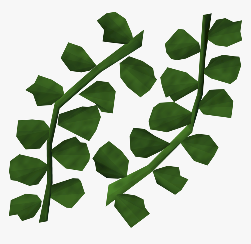 Seaweed Detail - Seaweed Gifs Transparent, HD Png Download