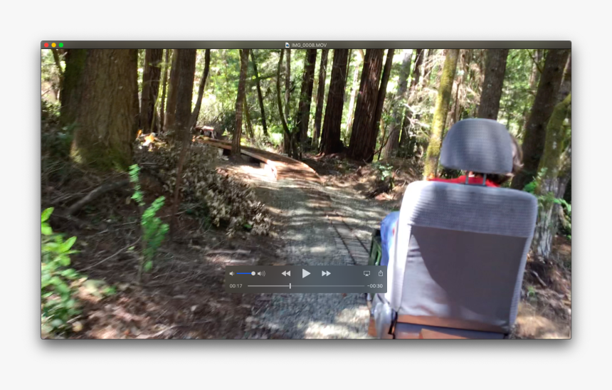 Old-growth Forest, HD Png Download