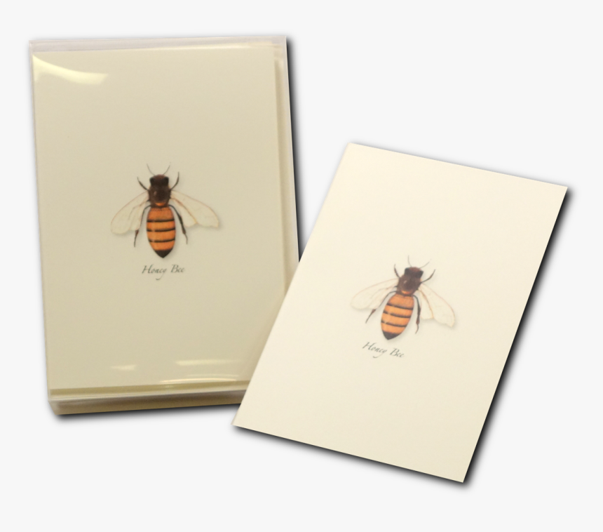 Honey Bee Notecard Honeybee Greeting Card - Honeybee, HD Png Download