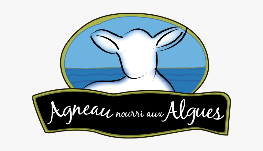 Agneau Nourri Aux Algues, HD Png Download