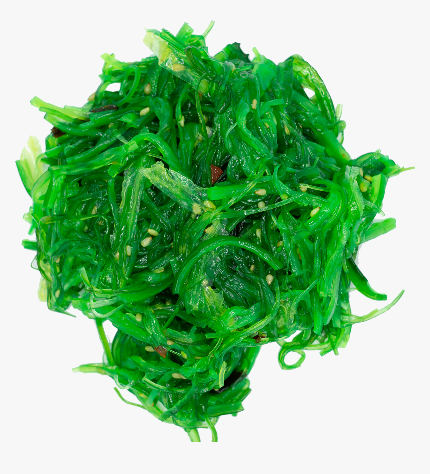 Plastic, HD Png Download
