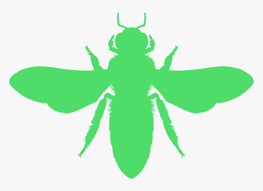 Illustration, HD Png Download