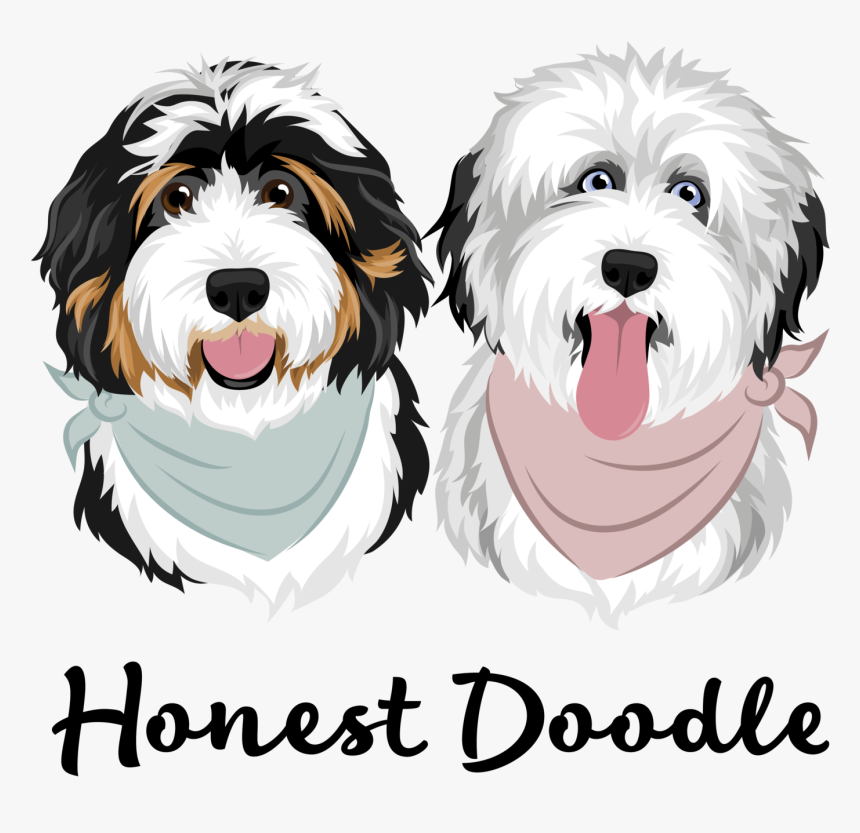 Dog Yawns, HD Png Download