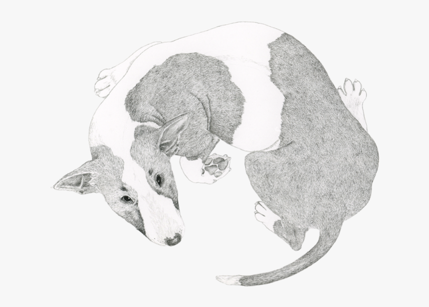 Transparent Energizer Bunny Png - Bull Terrier Spinning Drawing, Png Download