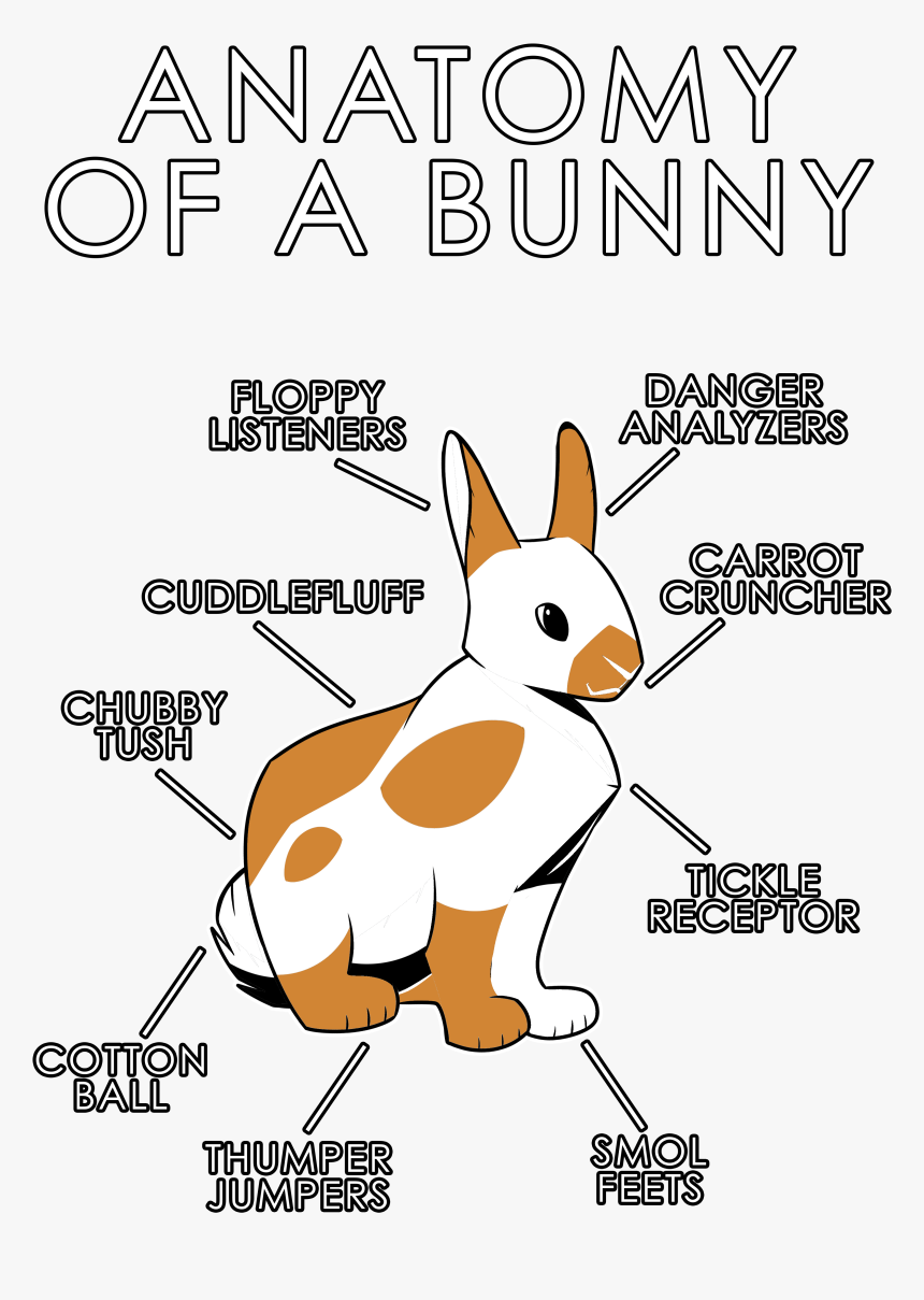 Transparent Energizer Bunny Clipart - Rabbit, HD Png Download