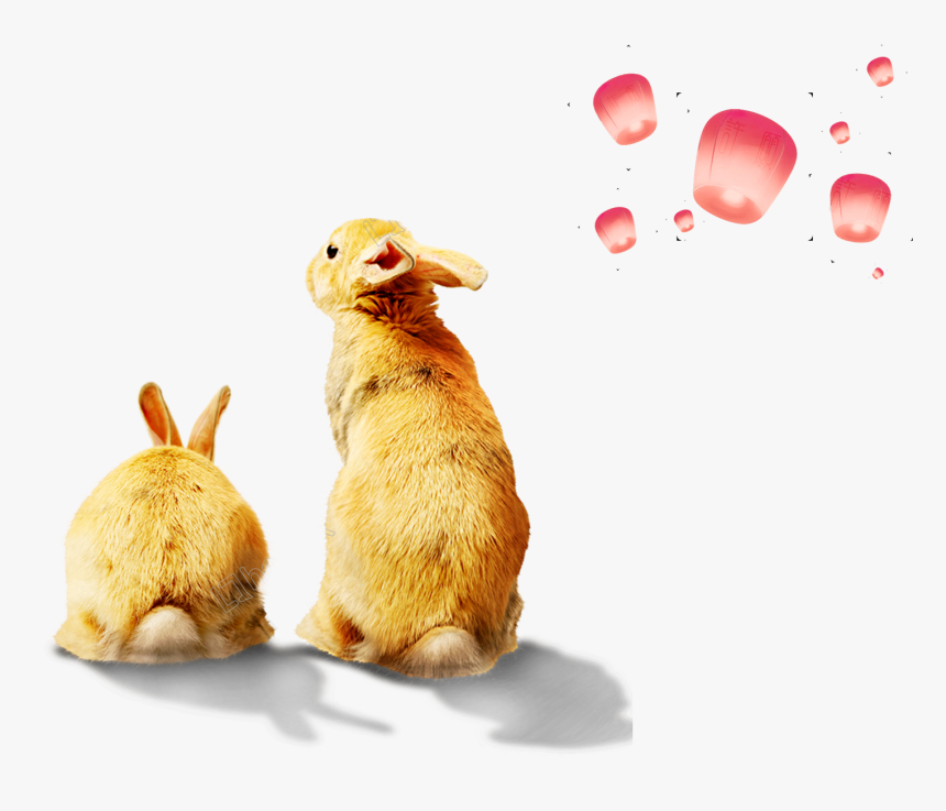 Vector Rabbit Mascot - Rabbit, HD Png Download