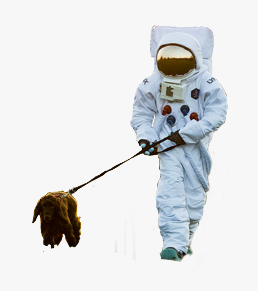 #astronaut #dog #walk #walking - Astronaut Walking Png, Transparent Png