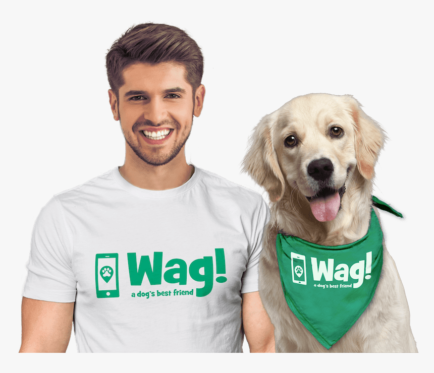 Chien Golden, HD Png Download