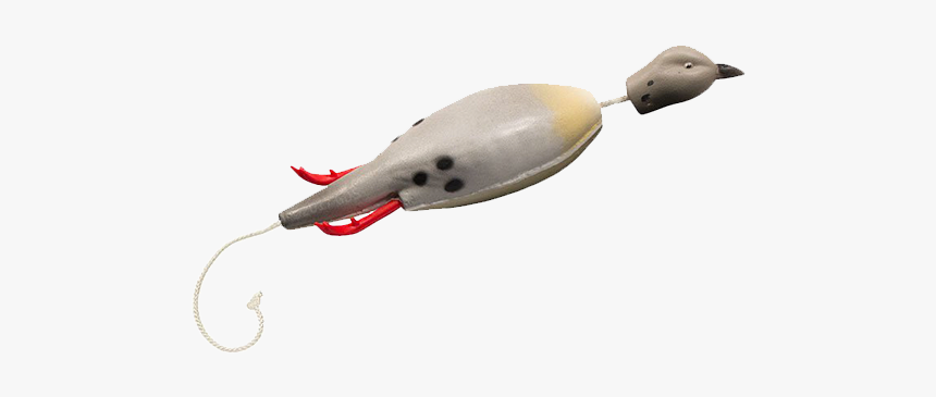 Invertebrate, HD Png Download