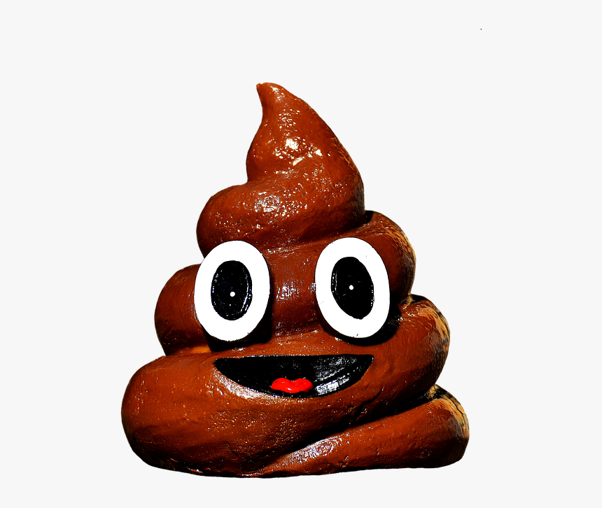 Fecal Png, Transparent Png