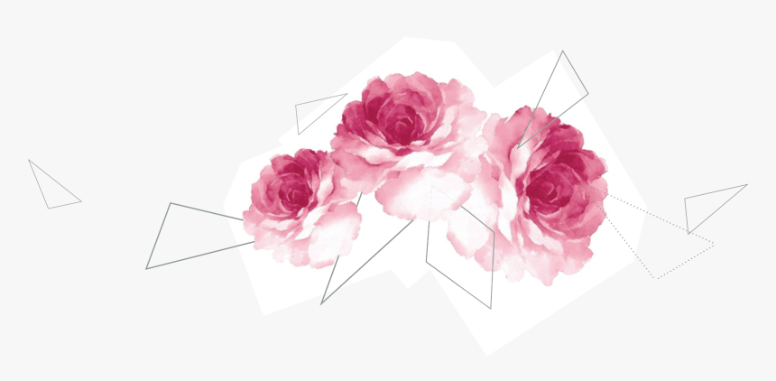 Transparent Page Separator Png - Garden Roses, Png Download