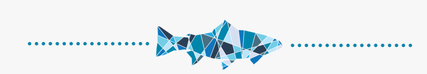 Marine Mammal, HD Png Download