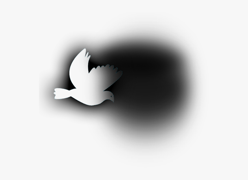 Pigeons And Doves, HD Png Download